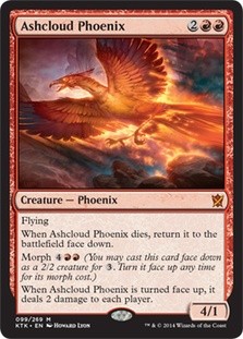 Ashcloud Phoenix -E-