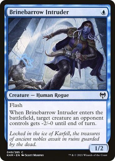 Brinebarrow Intruder -E-