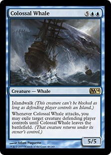 Colossal Whale -E-