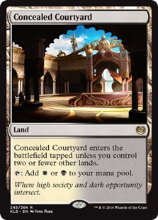 Concealed Courtyard -E-