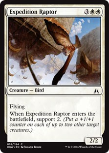 Expedition Raptor -E-