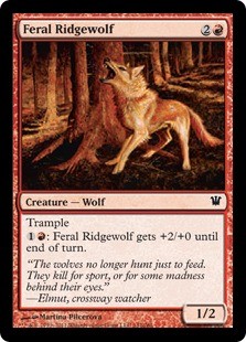 Feral Ridgewolf -E-