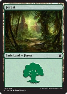 Forest (#269) -E-