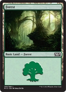 Forest (#269) -E-