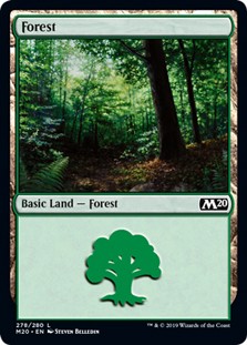 Forest (#278) -E-