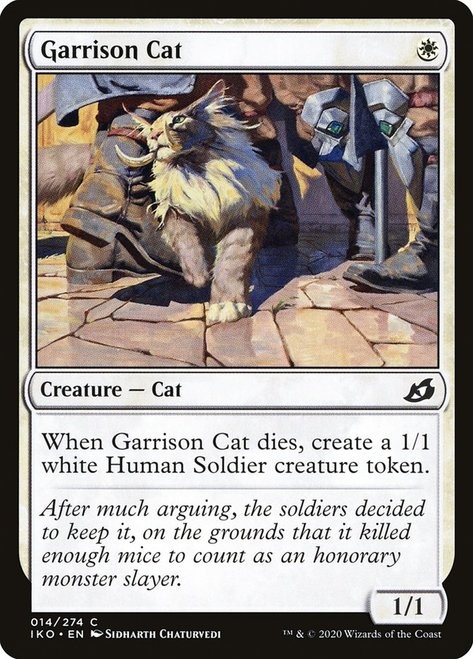 Garrison Cat -E-