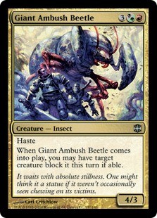 Giant Ambush Beetle -E-