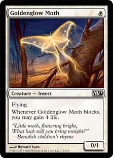 Goldenglow Moth -E-
