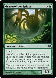 Graverobber Spider -E-