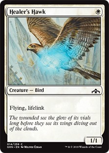 Healer's Hawk -E-
