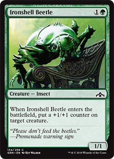 Ironshell Beetle -E-