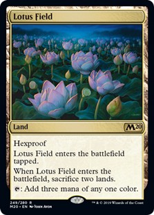 Lotus Field -E-