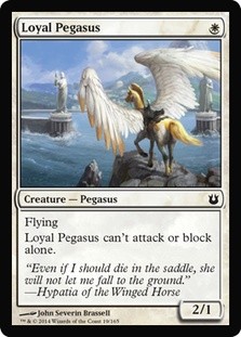 Loyal Pegasus -E-