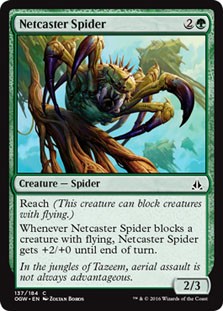 Netcaster Spider -E-