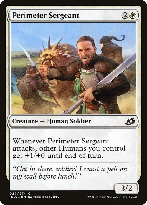 Perimeter Sergeant -E-