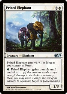 Prized Elephant -E-