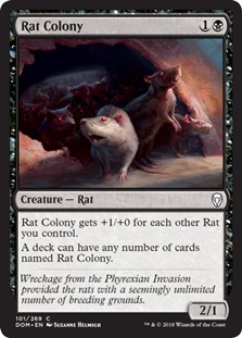 Rat Colony -E-