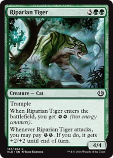 Riparian Tiger -E-