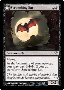 Screeching Bat | Stalking Vampire -E-