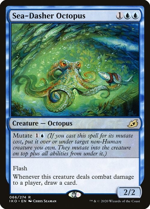 Sea-Dasher Octopus -E-