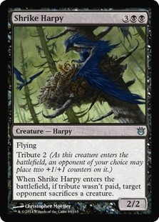 Shrike Harpy -E-