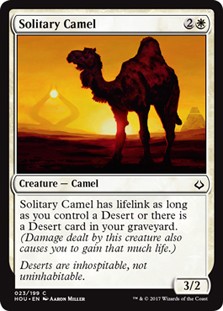 Solitary Camel -E-