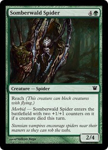 Somberwald Spider -E-