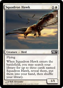 Squadron Hawk -E-