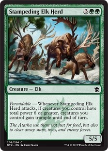 Stampeding Elk Herd -E-
