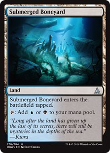 Submerged Boneyard -E-
