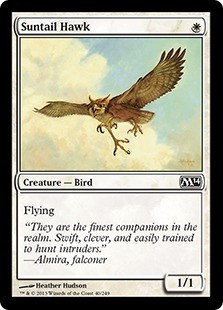 Suntail Hawk -E-