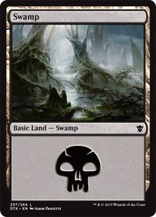 Swamp (#257) -E-