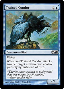 Trained Condor -E-
