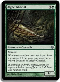 Algae Gharial Foil -E-