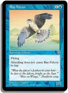 Bay Falcon -E-