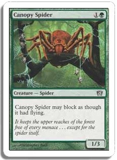 Canopy Spider -E-