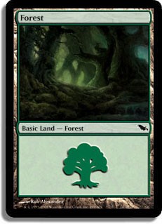 Forest (#299) -E-