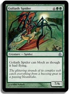 Goliath Spider -E-