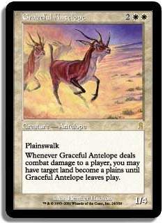 Graceful Antelope -E-