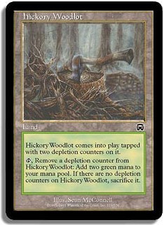 Hickory Woodlot -E-