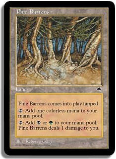 Pine Barrens -E-