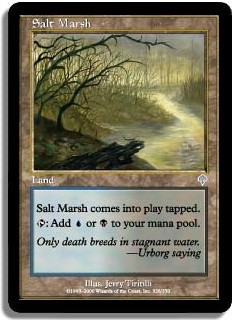 Salt Marsh -E-
