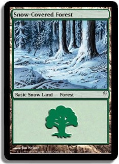 Snow-Covered Forest -E-