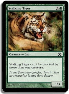 Stalking Tiger -E-