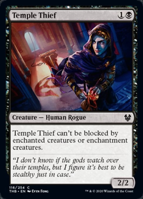 Temple Thief -E-