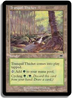 Tranquil Thicket -E-