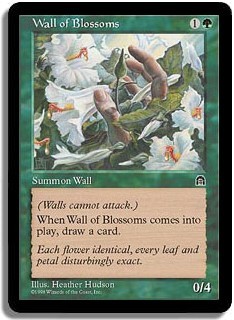 Wall of Blossoms -E-