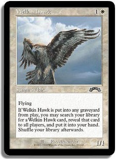 Welkin Hawk -E-