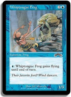 Whiptongue Frog -E-