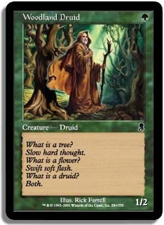 Woodland Druid -E-